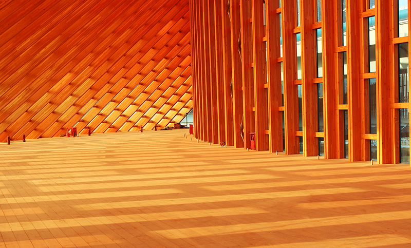 1651224500515578.jpg zygy-7.jpg