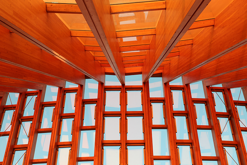 1651224543155662.jpg zygy-6.jpg