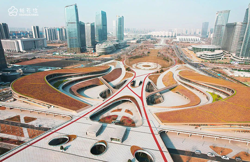 1651224599330980.jpg zygy-5.jpg