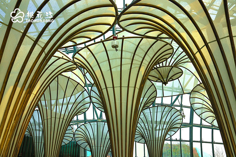 1676537826233268.jpg wenquan5.jpg