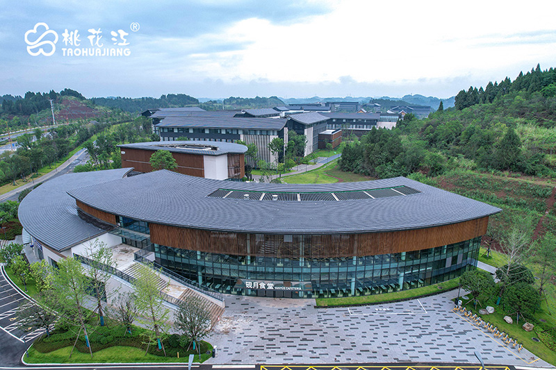 天府國際藝術(shù)城 天府國際藝術(shù)城