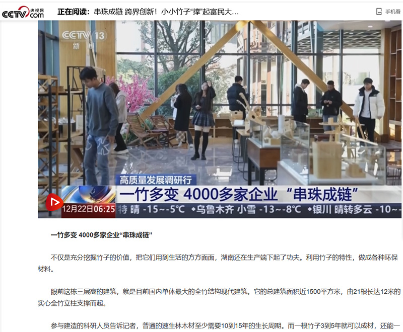 央視新聞—串珠成鏈 跨界創(chuàng)新！小小竹子“撐”起富民大產業(yè)