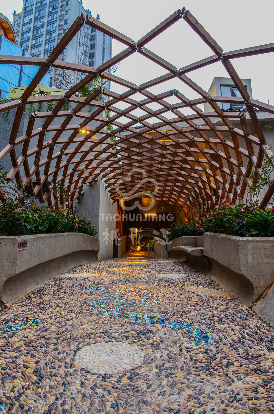 景觀竹材 戶(hù)外重竹