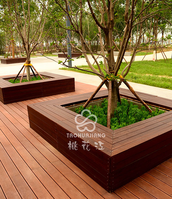 竹木圍樹坐凳，竹樹圍