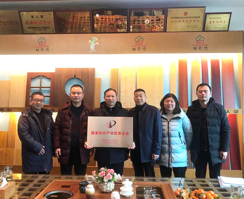 益陽市知識產(chǎn)權(quán)局領(lǐng)導(dǎo)送上“國家知識產(chǎn)權(quán)優(yōu)勢企業(yè)”牌匾并合影